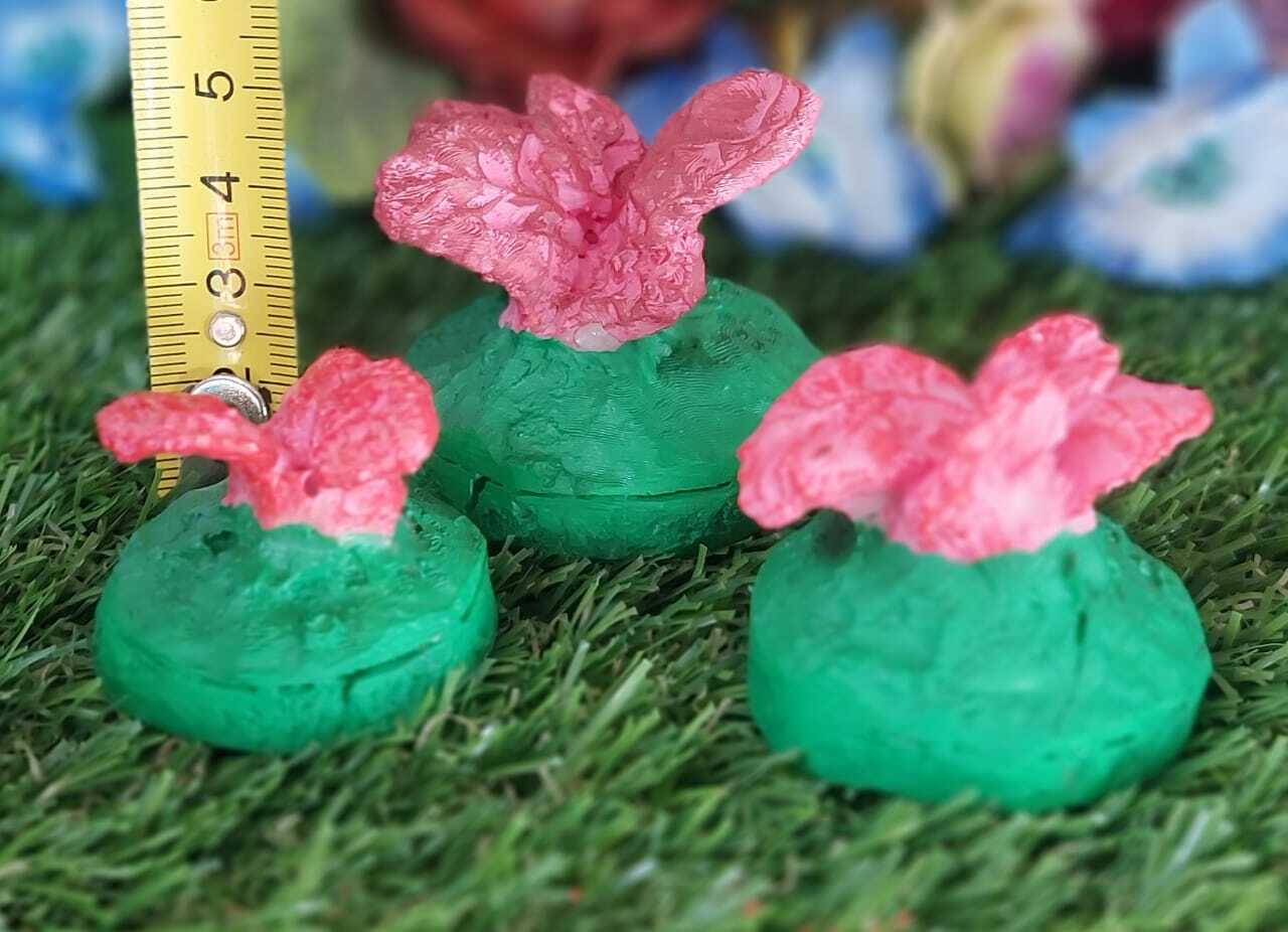 Combo 034 - The Pink Puff Lettuce Pals